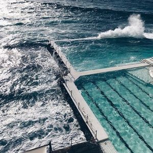 Meet your Posher, Trey